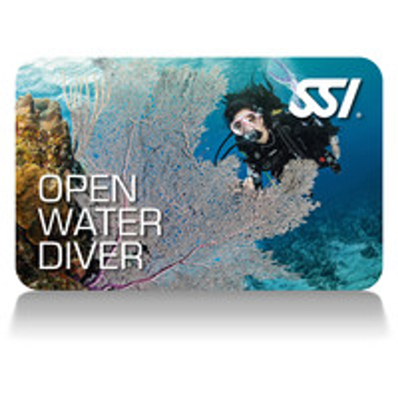 SSI Open Water Diver Course