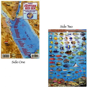 Franko Maps - Egyptian Red Sea Guide & Fish ID