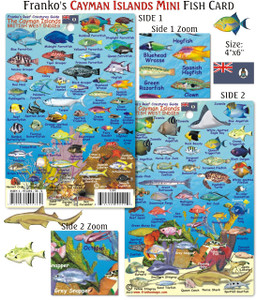 Franko Maps - Mini Cayman Islands Reef Fish ID