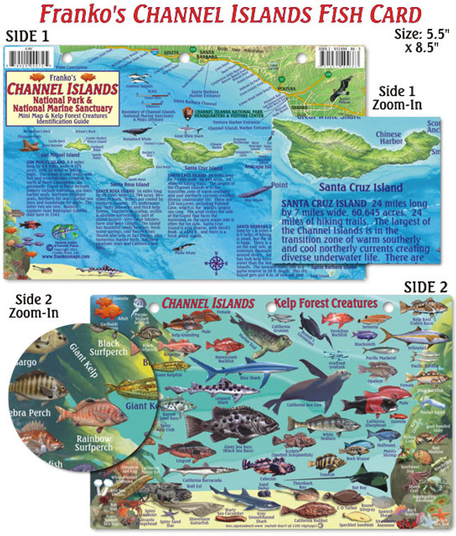 Franko Maps - Channel Islands Fish ID