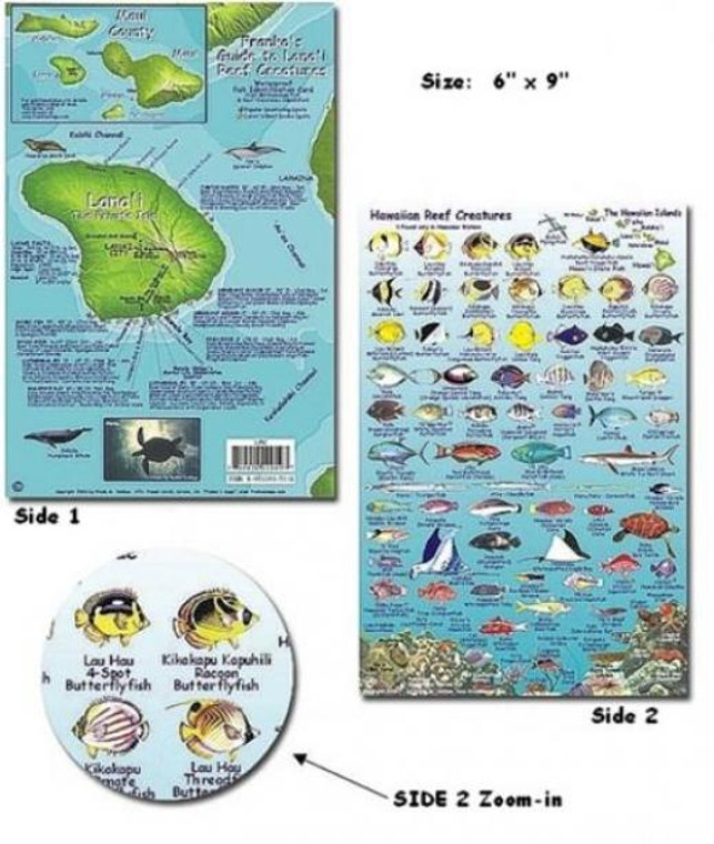 Franko Maps Lanai Reef Creatures Fish ID for Scuba Divers and Snorkelers
