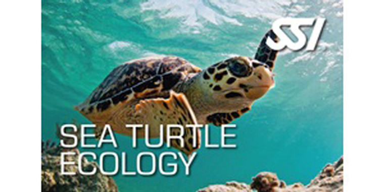 SSI Sea Turtle Ecology Kit