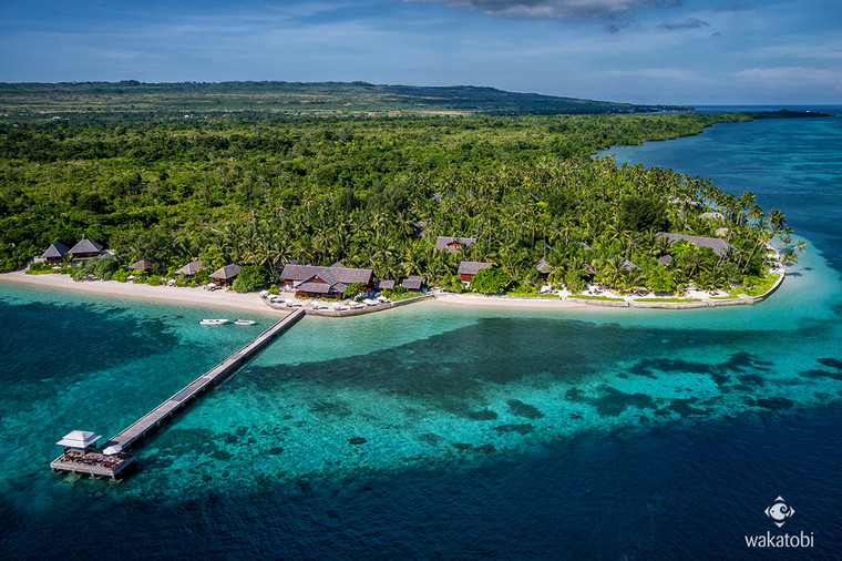 Wakatobi Dive Resort Pre-Trip - Sulawesi, Indonesia - August 30th - September 1st, 2024