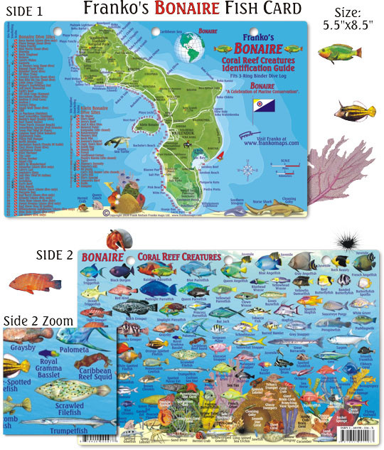 Franko Maps - Bonaire Reef Fish ID