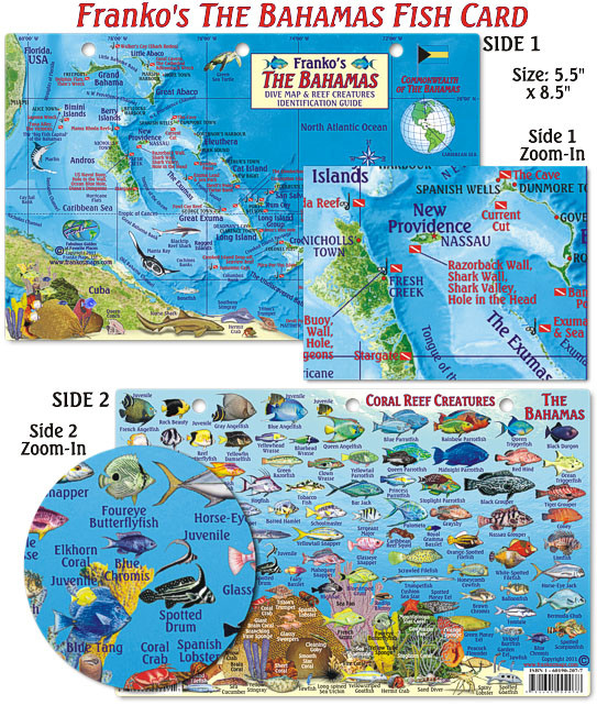 Franko Maps - Bahamas Fish ID