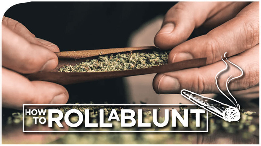 how to roll a blunt step by step