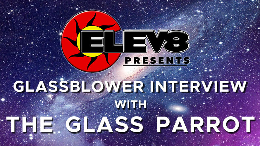 Interview with The Glass Parrot by Elev8 Presents