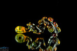 Black and Amber Tentacle Pendant by SeanOtron  #11