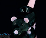 Black Rat Sherlock by Simply Jeff Glass #391