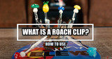 What is a roach clip?