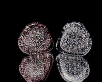 Eternal Release Cremation Guitar Pick Set of 5