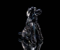 Cremation Glass Cat