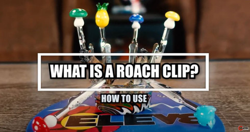 What is a roach clip?