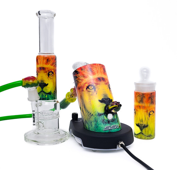 One of a kind Super Surfer WRS Rasta bundle with sublimated glass