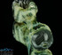 wig wag and fumed piece by SCHNOORTZ GLASS #129