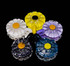 Glass Daisy Pendant Cremation Keepsake