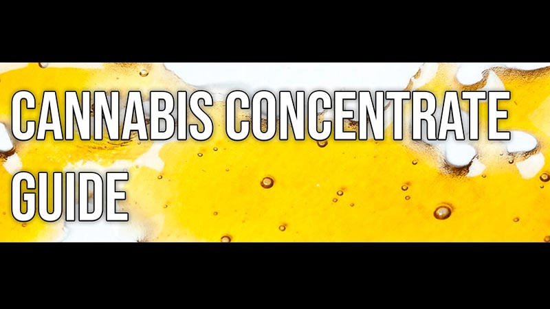 Cannabis Concentrates Guide Cannabis Concentrates Guide