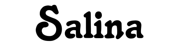 salina-font.jpg