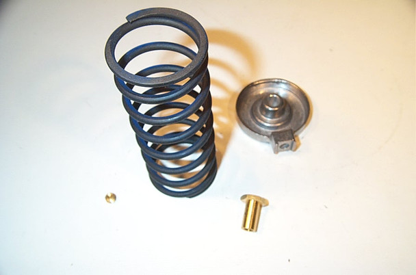 Johnson Controls VG7000-1009 1 1/2&2"Spring Kit 9-13 V30008