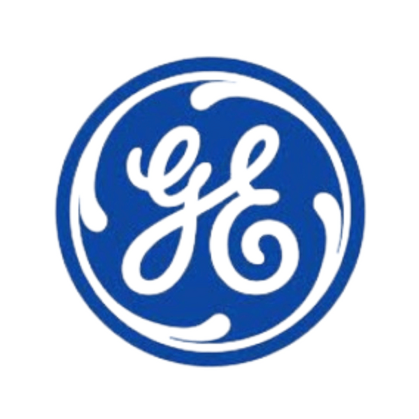 GE badge for GE Appliance WE22X28668