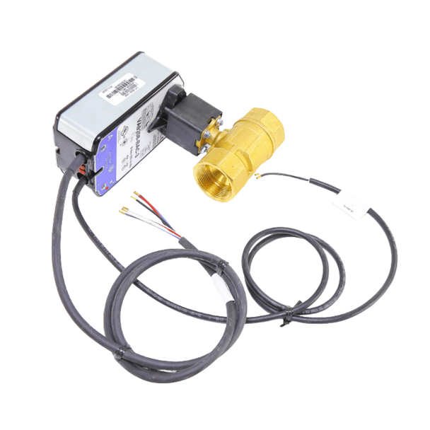 Johnson Controls VG1245ESH958BAC Valve Assembly