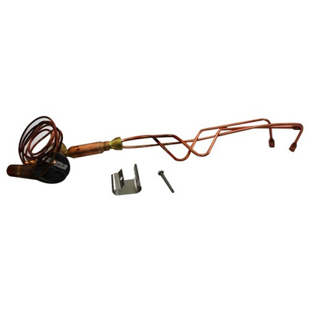 Rheem PD614851 Expansion Valve With Bleed Port