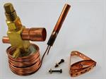 Carrier EA02HB515 Expansion Valve
