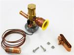 Carrier EA36UZ118 Expansion Valve