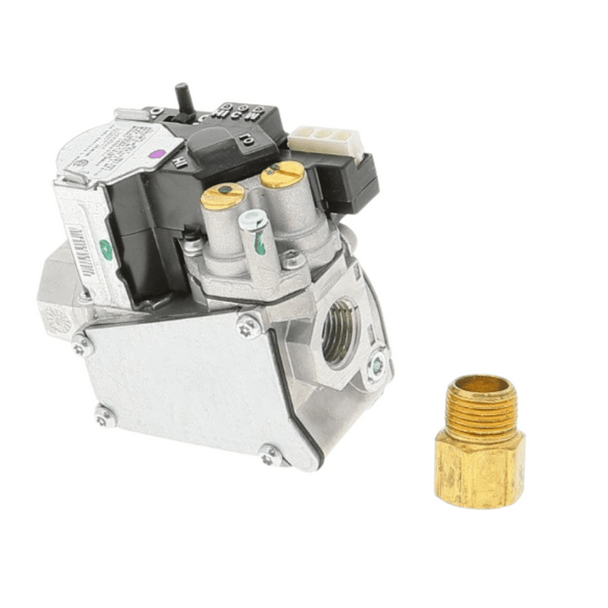 Rheem-Ruud 60-101921-81 Natural Gas Valve