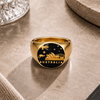 Australia Rings Australia Opera House Kangaroo