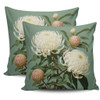 Australia Waratah Pillow Covers - White Waratah Flowers Fine Art Ver1 Pillow Covers