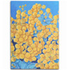 Australia Golden Wattle Area Rug - Golden Wattle Blue Background Oil Painting Art Area Rug