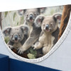 Australia Koala Beach Blanket - Three Koalas with Gum Trees Ver2 Beach Blanket