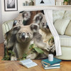 Australia Koala Blanket - Three Koalas with Gum Trees Ver3 Blanket