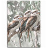 Australia Kookaburra Area Rug - Kookaburra Artwork Area Rug