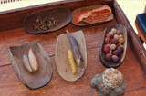 Traditional Aboriginal Foods