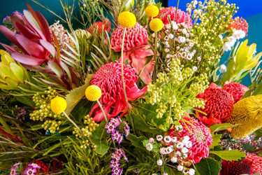 A Complete Guide To Australian Native Flowers