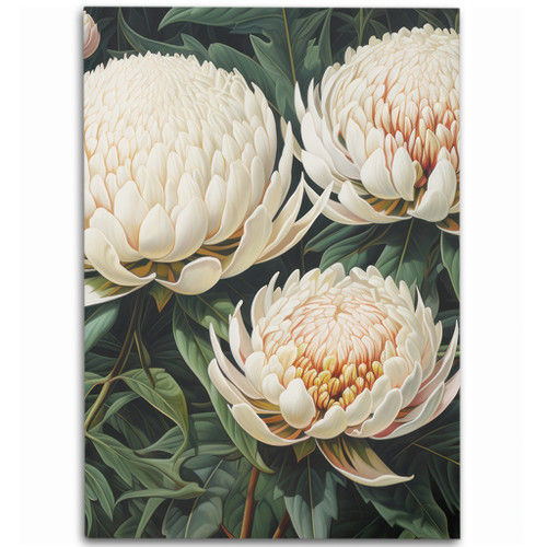 Australia Waratah Area Rug - White Waratah Flowers Fine Art Ver2 Area Rug Australia Waratah Area Rug - White Waratah Flowers Fine Art Ver2 Area Rug