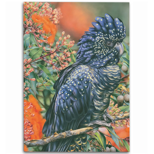 Australia Black Cockatoo  Area Rug - Black Cockatoo and Flowering Gum Area Rug