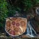 Australia Aboriginal Inspired Beach Blanket - Indigenous Tree Aboiginal Inspired Dot Painting Style Beach Blanket