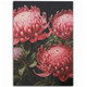 Australia Waratah Area Rug - Red Waratah Flowers Fine Art Ver1 Area Rug