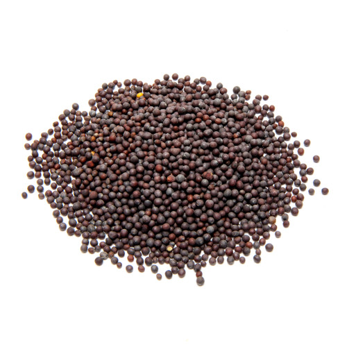 Black Mustard Seed (1oz)