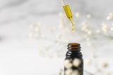 CBD for Osteoporosis: Does It Work?