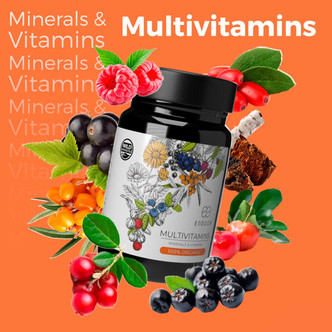 ENDOCA Natural Organic Multivitamins & Minerals