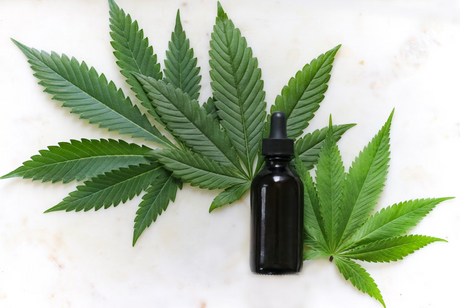 A Look at the Potential Benefits of Taking CBD for Alzheimer’s