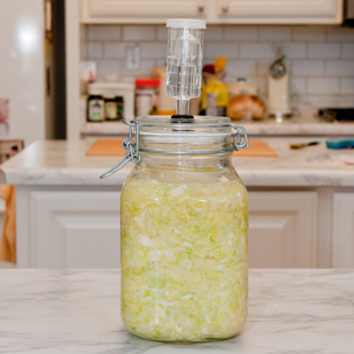 Probiotics Galore with Homemade Sauerkraut!