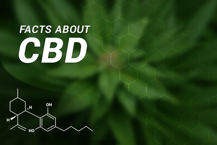 What Forms Does CBD Come In?