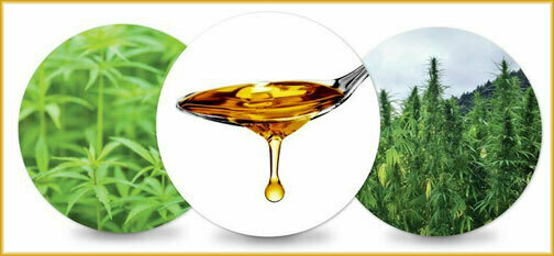 Raw CBD