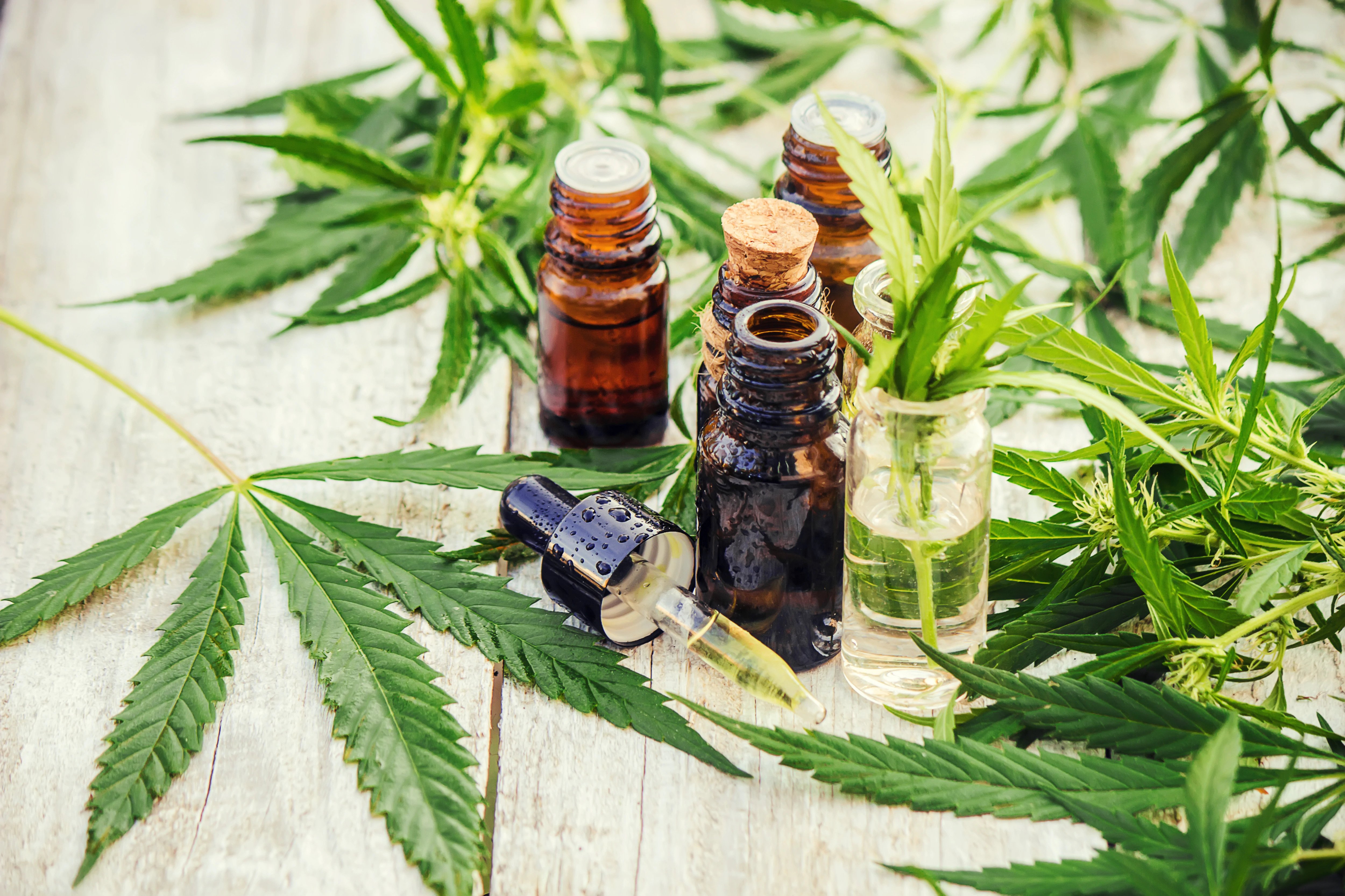 Some Ideas on Taking Cbd For Pain You Should Know