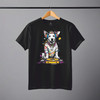 bn336 DJ DOG  personalised colourful  decks banksy style